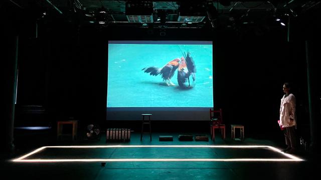 Chaska Mori performs 'El apellido comienza conmigo' at the Imago Theatre in Portland, OR. Photo by Diego Bucio. A woman stands to the far right on a black box stage, with a projector screen displaying a rooster.