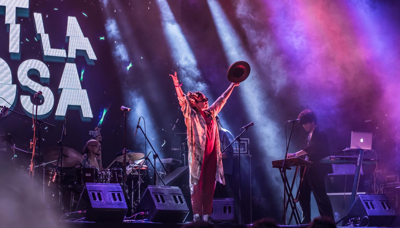 Musician with their arms up while singing on stage at a concert