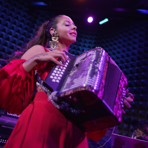 A woman in a red dress plays an accordion on a purple-lit stage